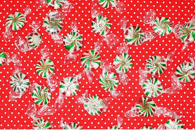 经典战棋游戏《公主联盟》 现已在Steam发售