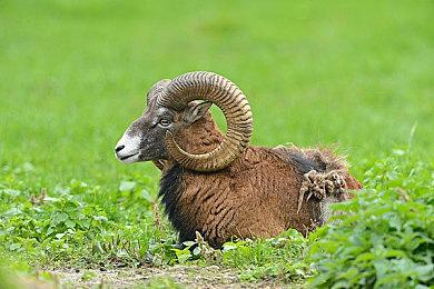 《潜行者2》新实机预告明早3点发布